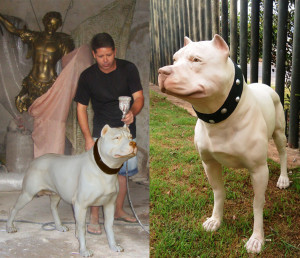 animais1